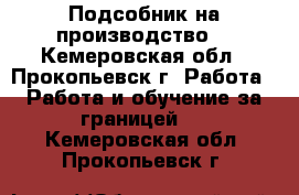 Подсобник на производство  - Кемеровская обл., Прокопьевск г. Работа » Работа и обучение за границей   . Кемеровская обл.,Прокопьевск г.